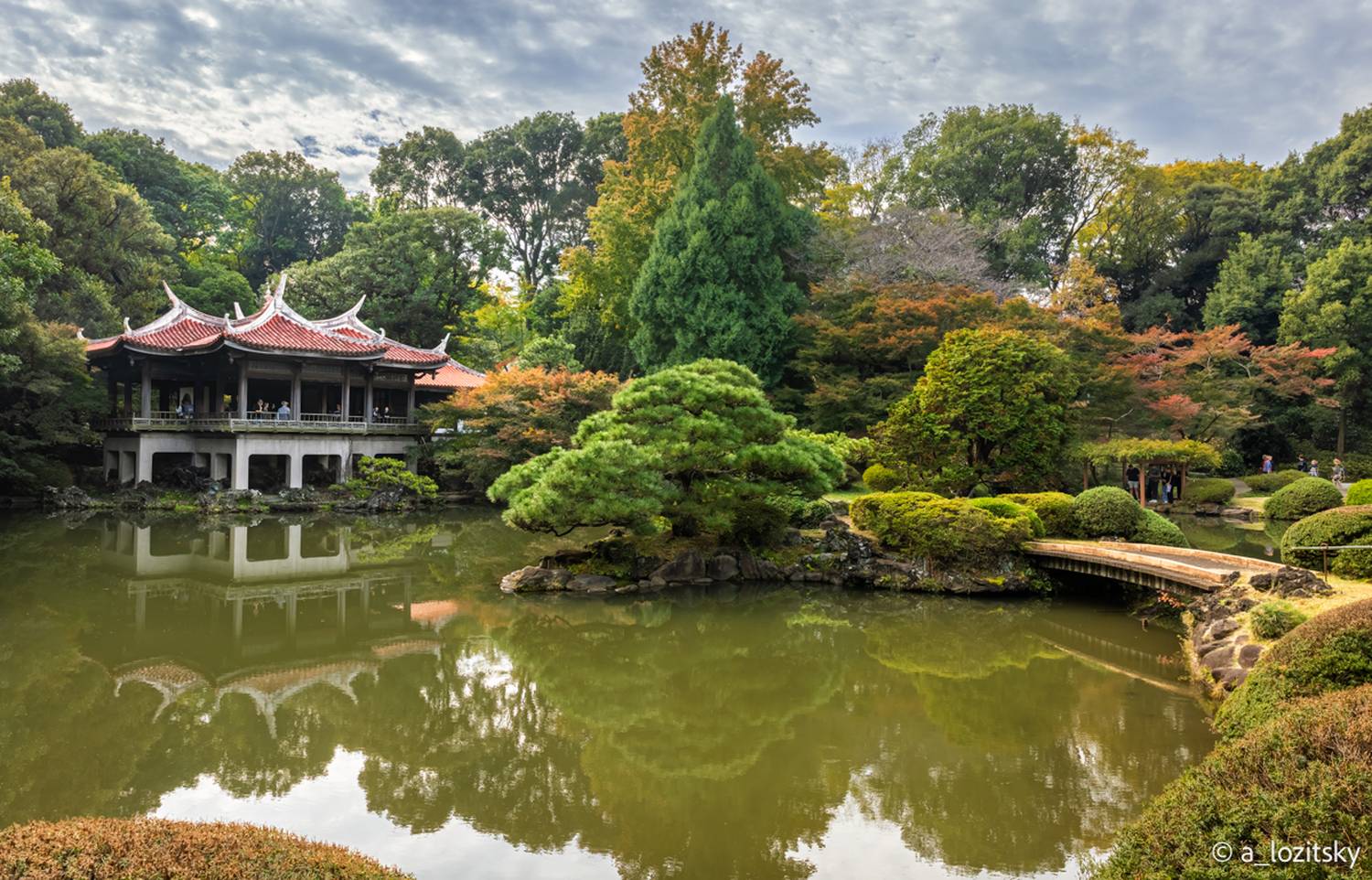 , Лозицкий Александр