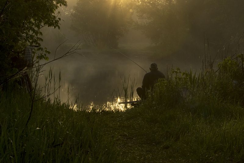 Утро фото превью