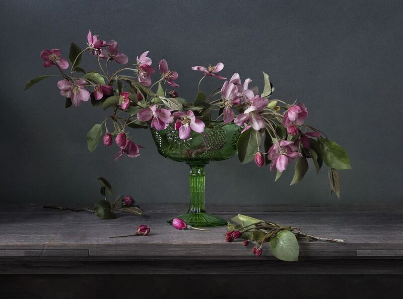 Цвет яблони фото превью