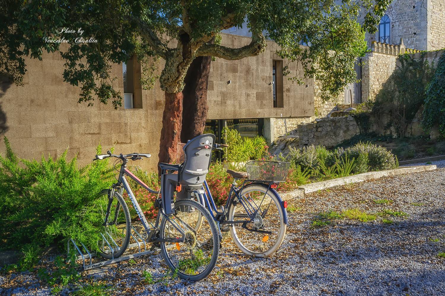 , Veaceslav Chisalita