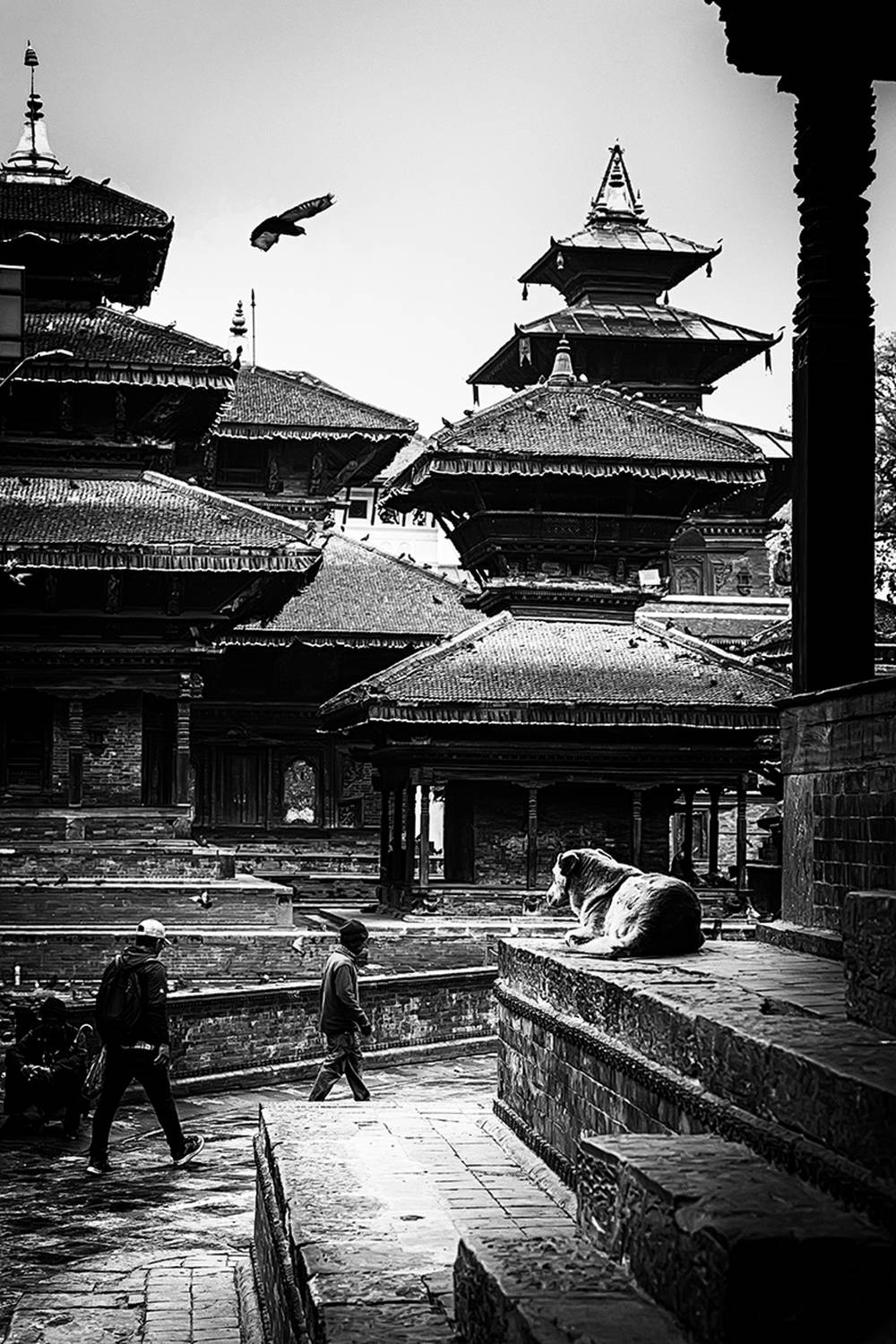 , Антипов Игорь