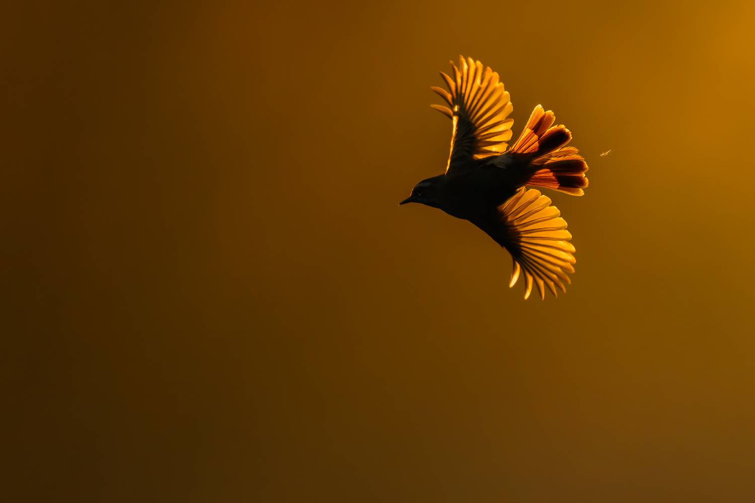 , Калинин Михаил