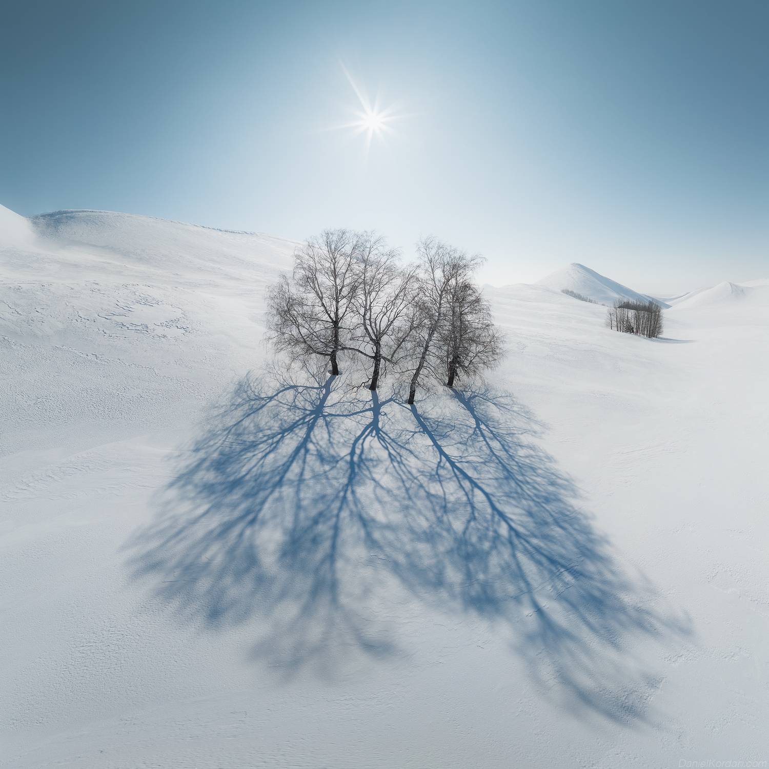 , Даниил Коржонов