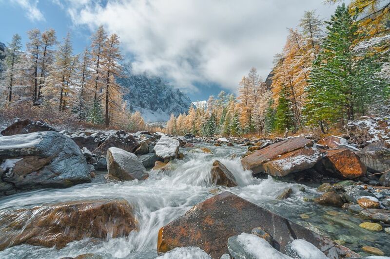 Россия, Алтай,пейзаж, река, природа, Актру речка на Актру фото превью