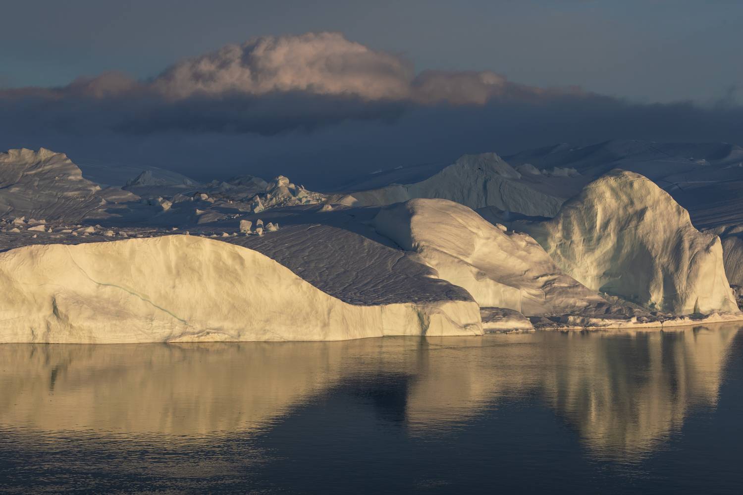 , Евгения Чех