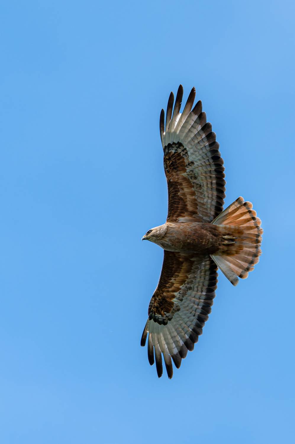 , Сергей Тихомиров