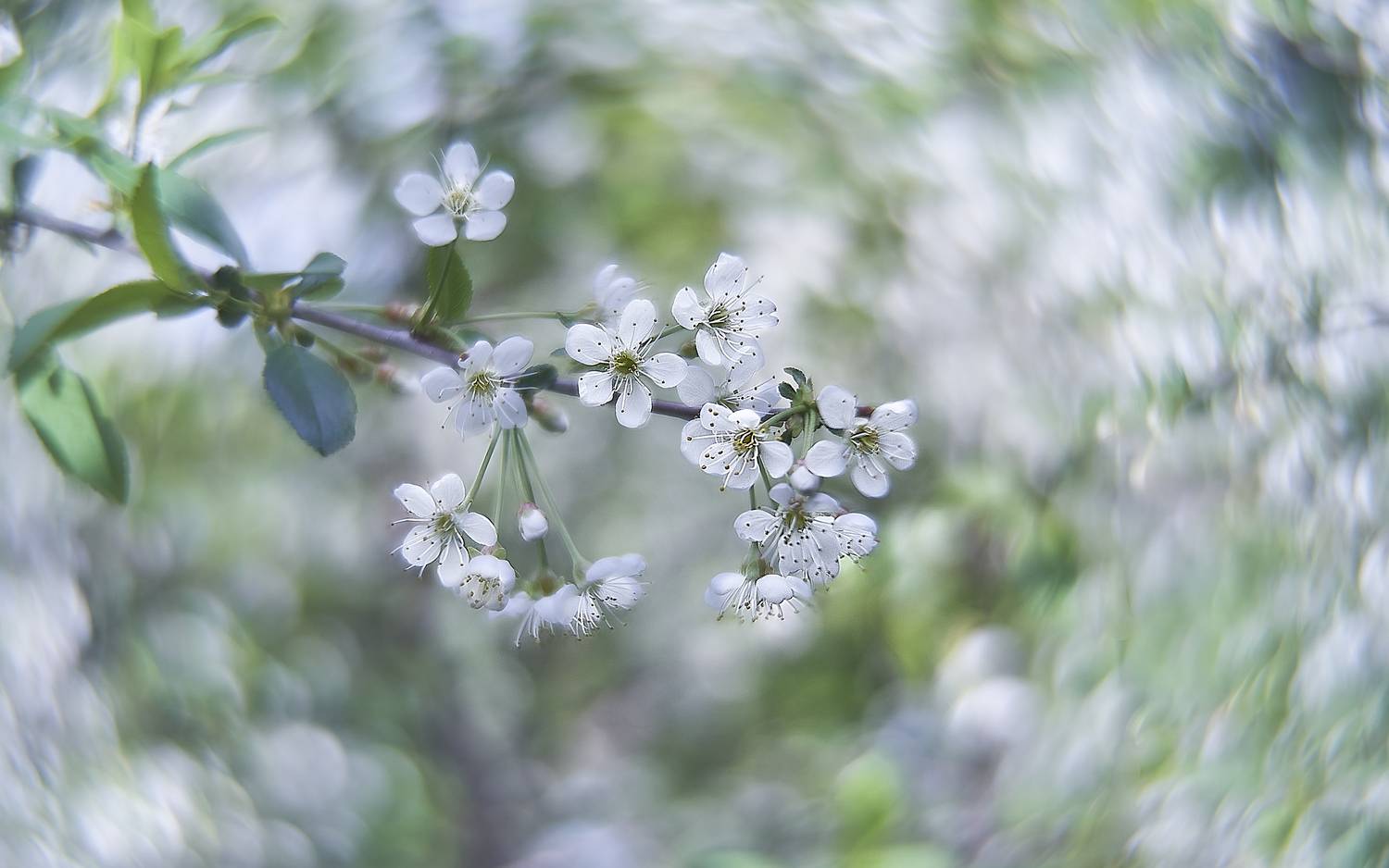 кинопроекц.объектив 16кп-1.2/50, Vlad