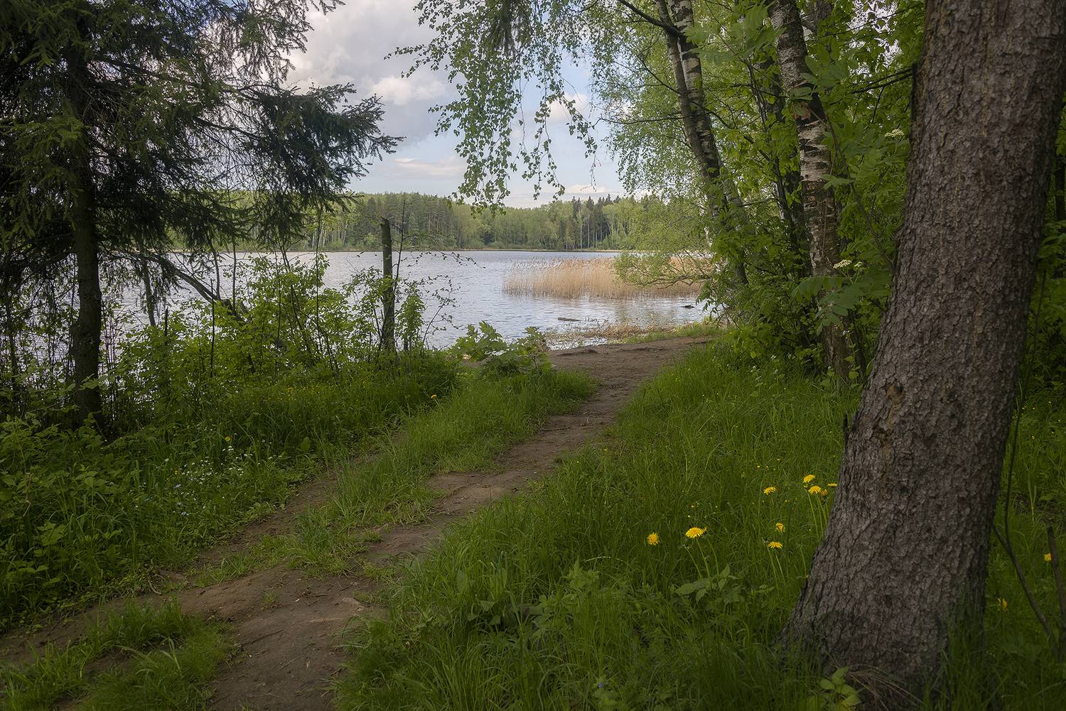 , Сергей Аникин