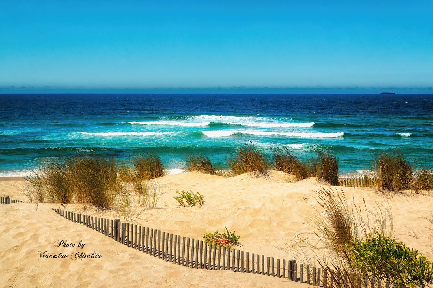 #океан #мировойокеан #океанвид #морскаягладь #приливиотлив #океанскиетечения #глубиныокеана #морскаястихия #море #путешествие   #ocean #deepblue #oceanview #openwater #oceanvibes #saltwater #tides #marinelife #seascape #oceanlover #oceanphotography #trave, Veaceslav Chisalita