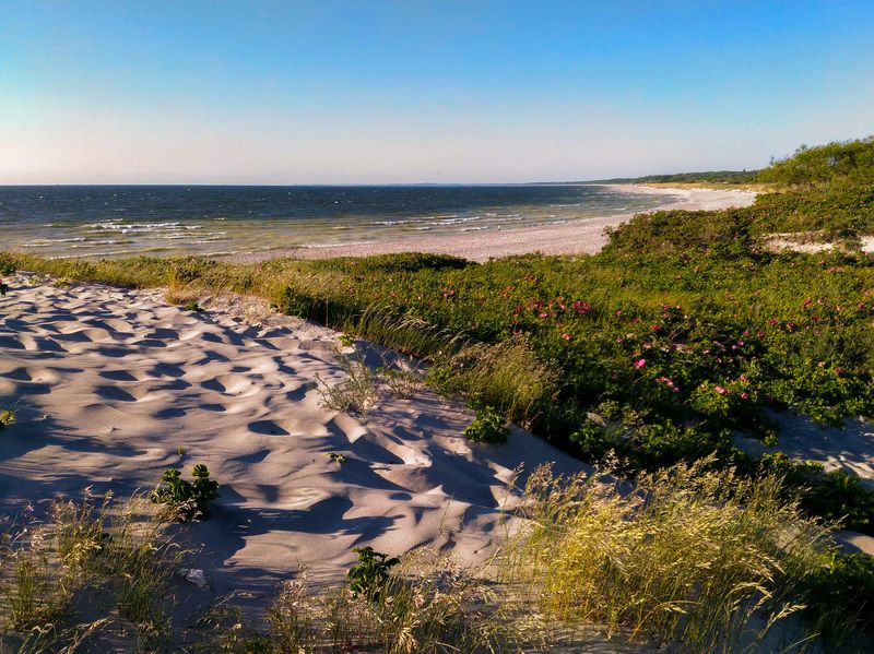 дюны море *** фото превью