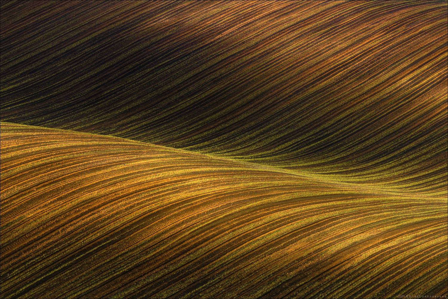 чехия, южная моравия, кукуруза, phototravel.pro, фототур, Влад Соколовский