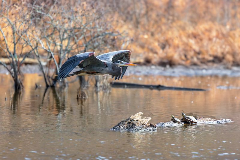 Облет владений фото превью