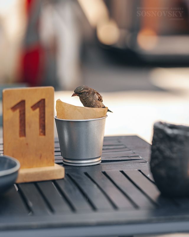 Соклько, сколько?! фото превью