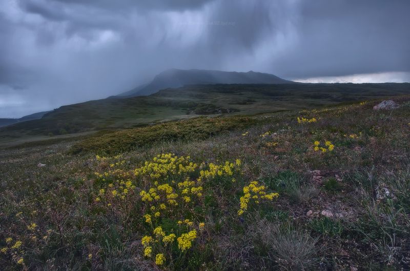 крым, симферополь, чатыр даг, crimea, nature, пейзаж, landscape Майский Чатыр-Даг фото превью
