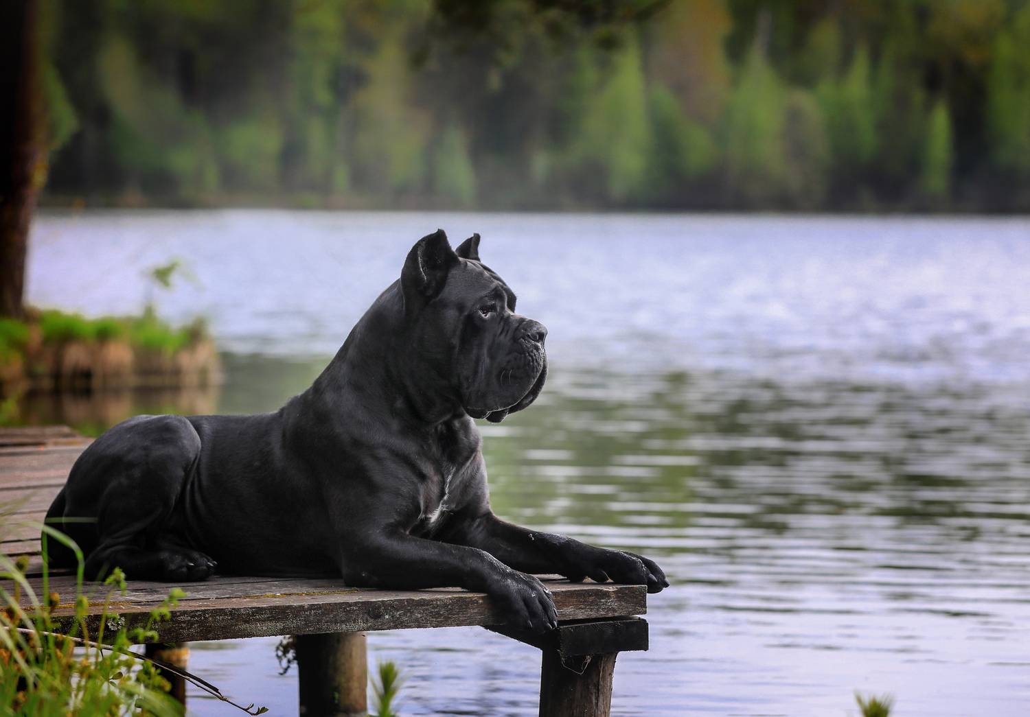 , Андрей Ершов