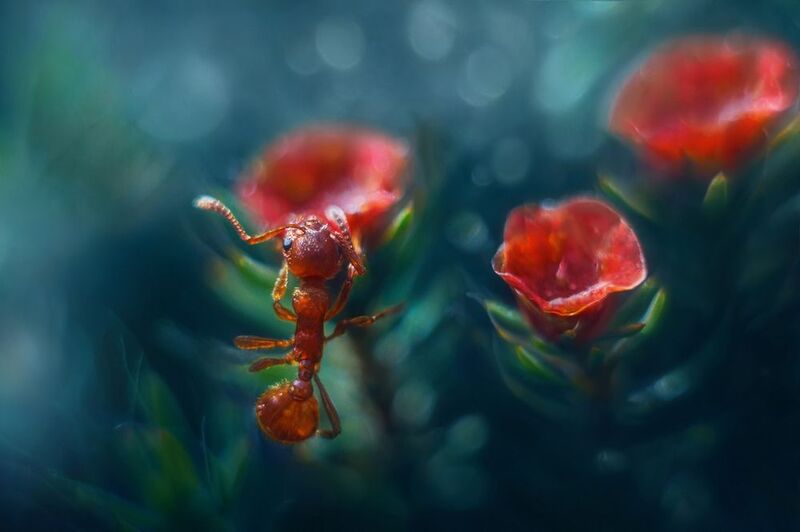 Солнышко проснулось, новый день на дворе. фото превью