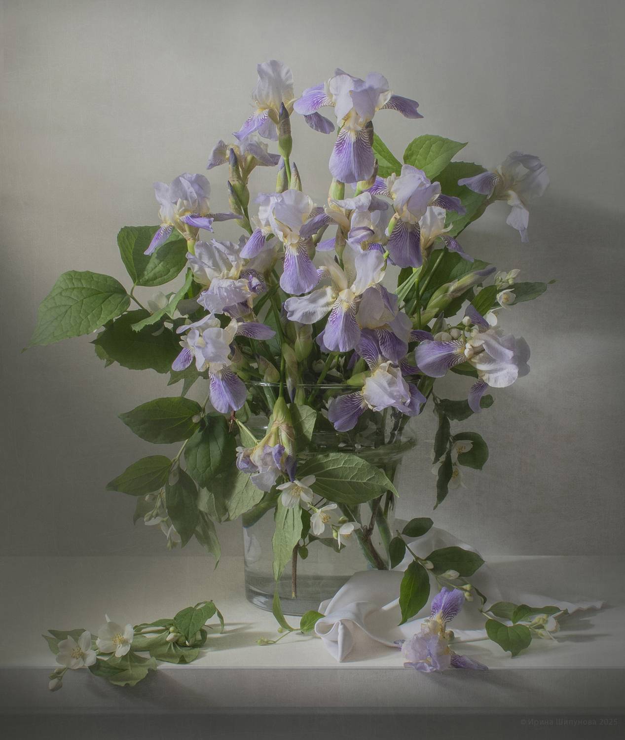 , Шипунова Ирина