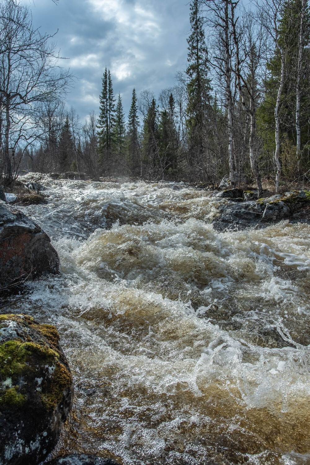 , Сергей Каверин