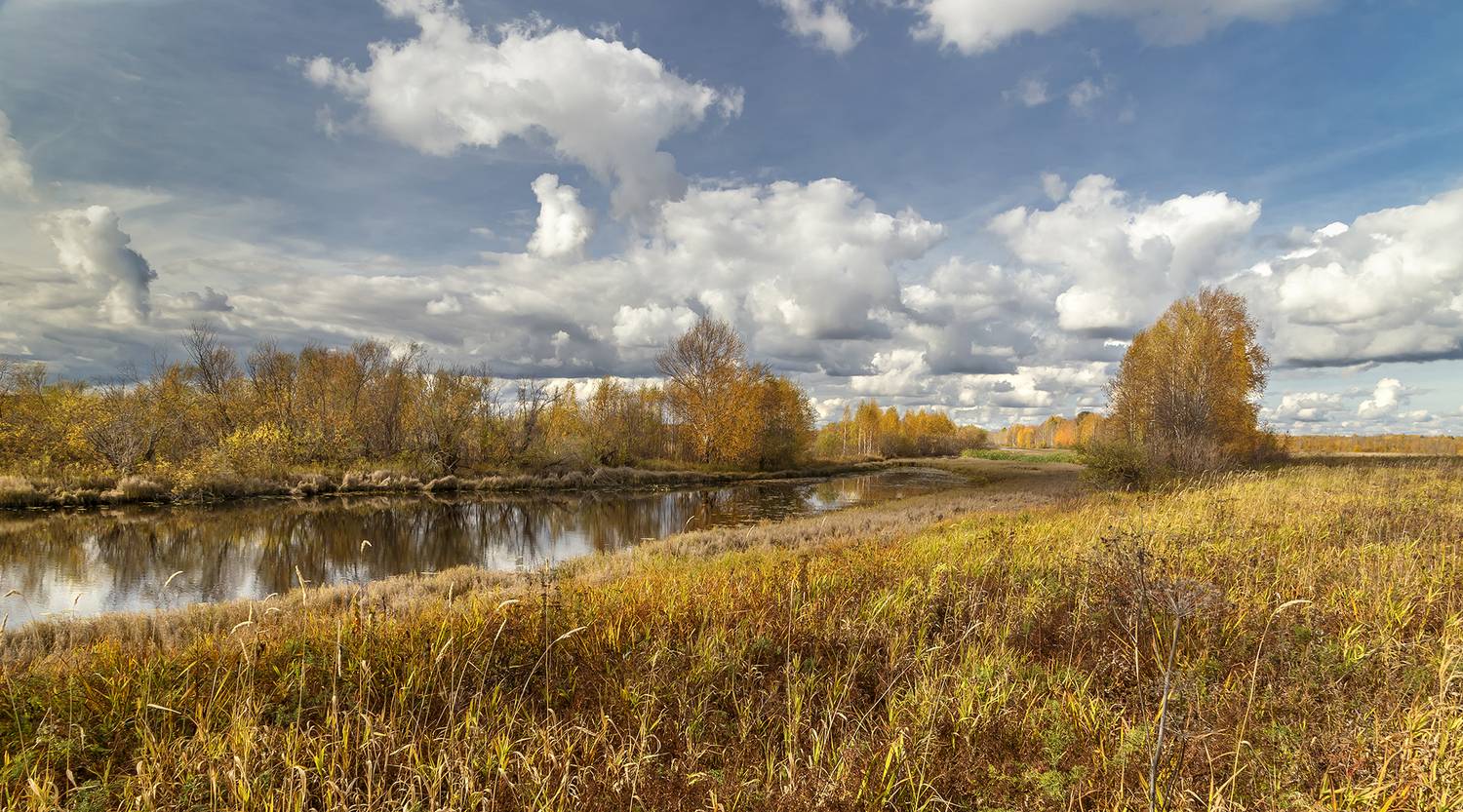 , Анкудинов Леонид