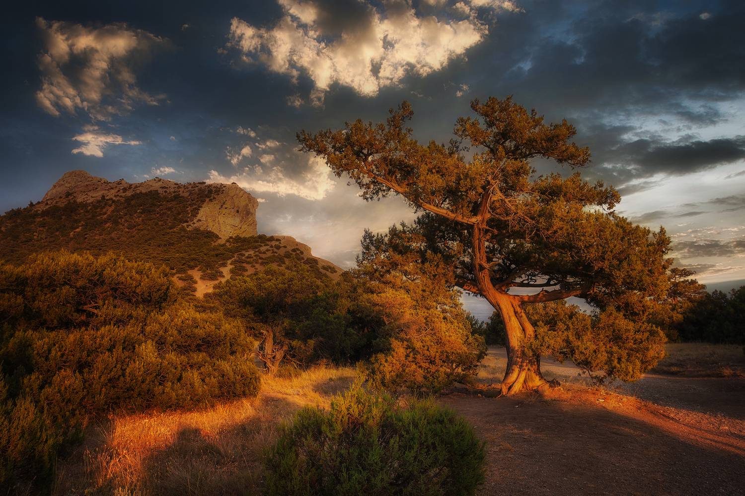 , Аседач Александр