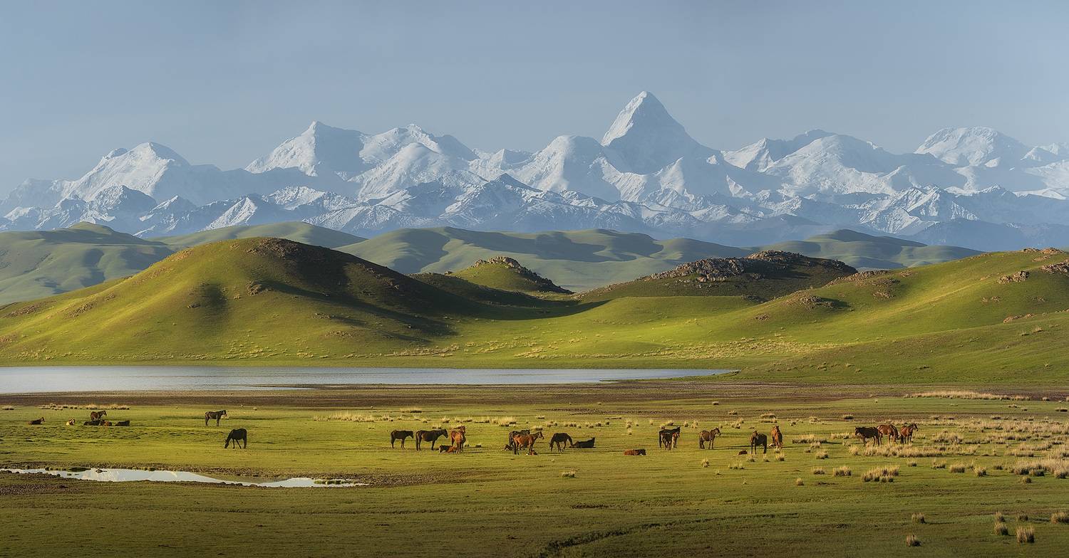 , Андрей Родионов