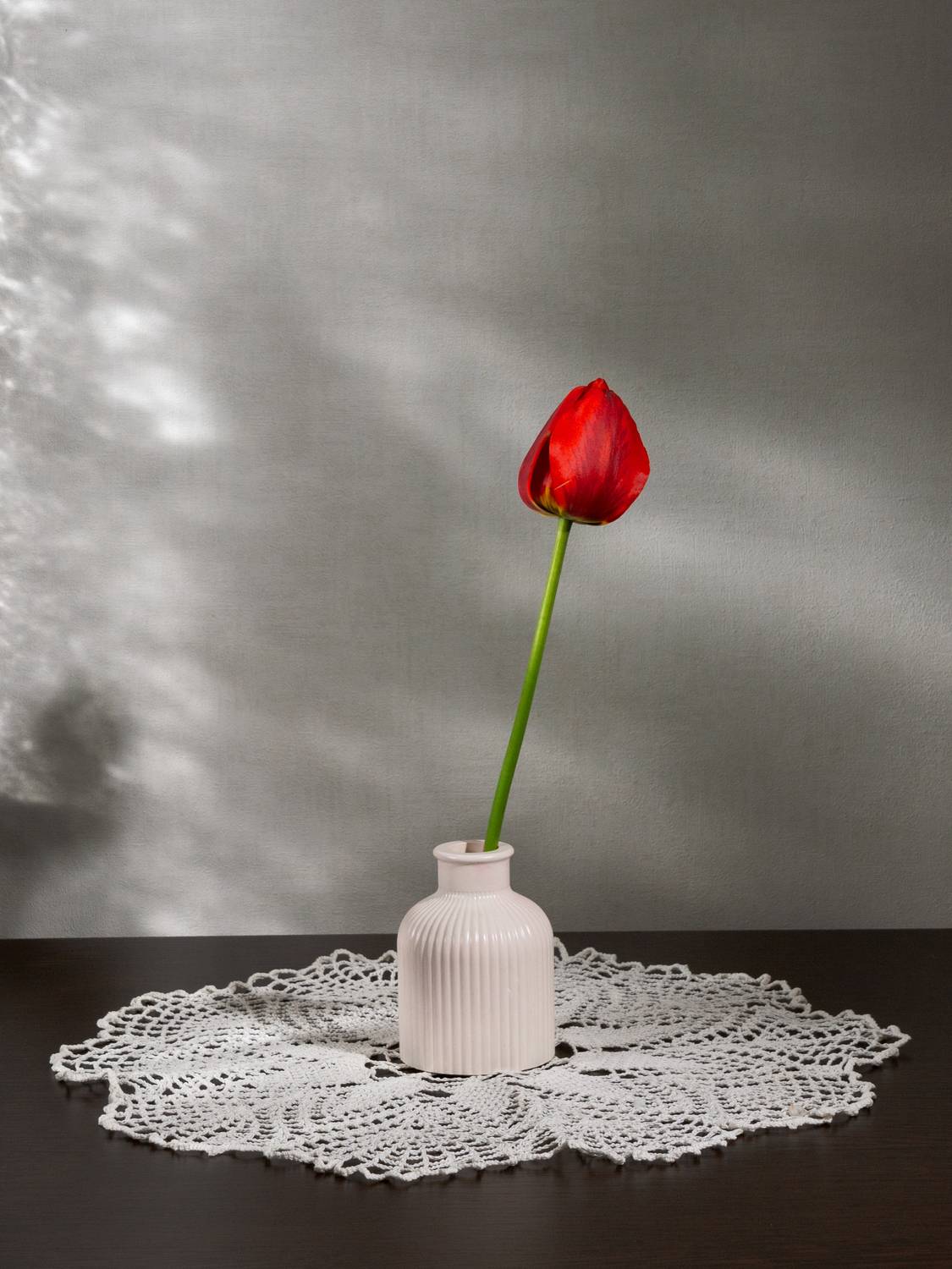 , Павлюк Елена