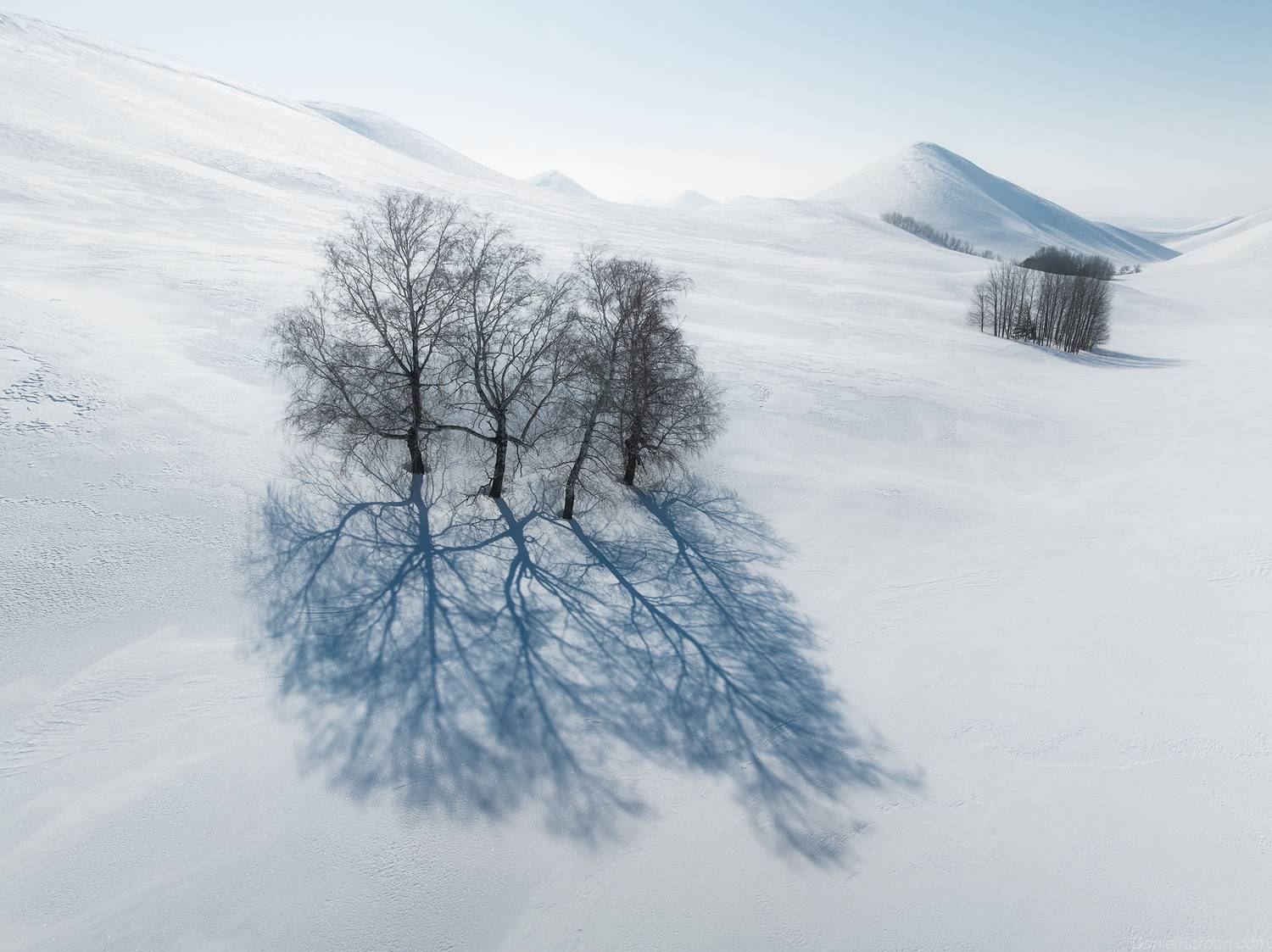 , Даниил Коржонов