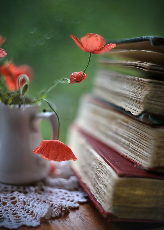 мак, старинные книги,весна, мысли о главном, беларусь, ирина горюкина, гелиос 44-2 Стихи о любви фото превью