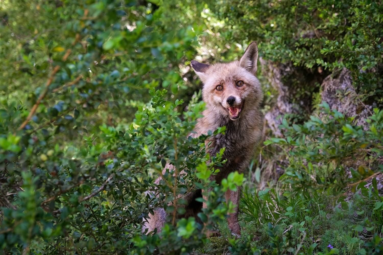 , Быканова Виктория