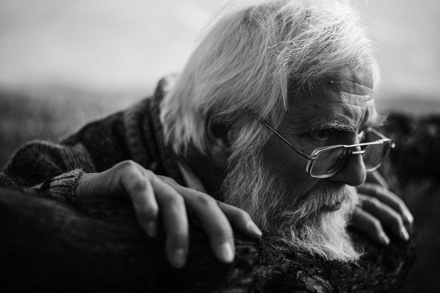 , Щеглова Марина