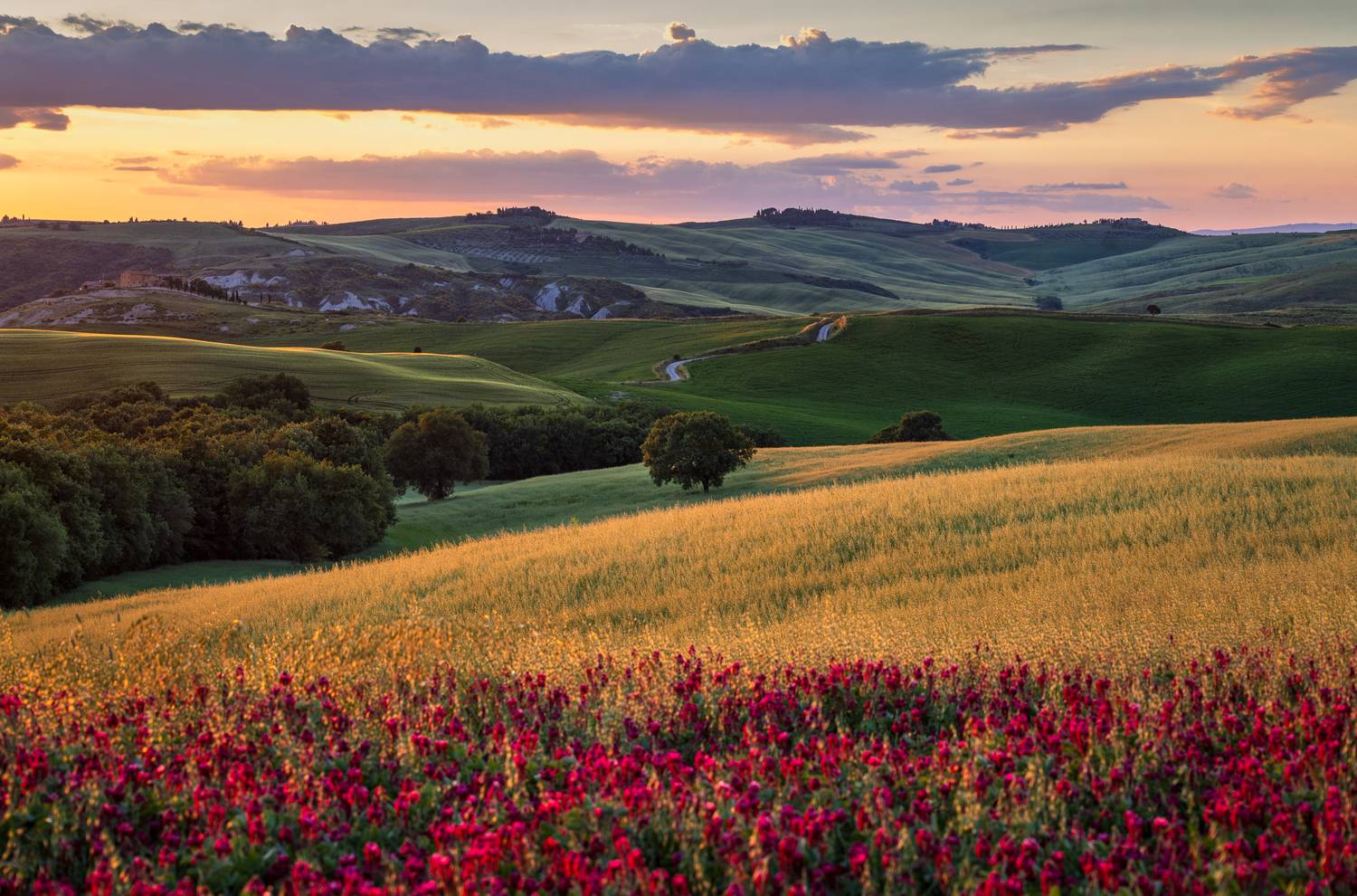 , Алекс Римский