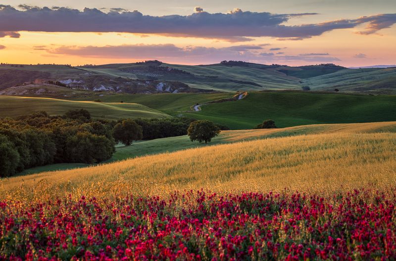 Майский пейзаж фото превью