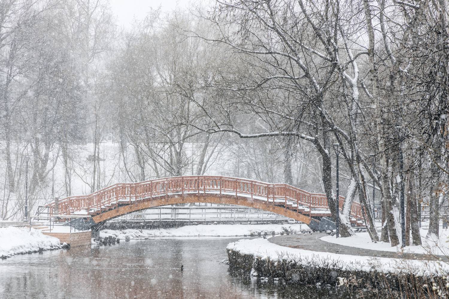 , Светлана Грянкина