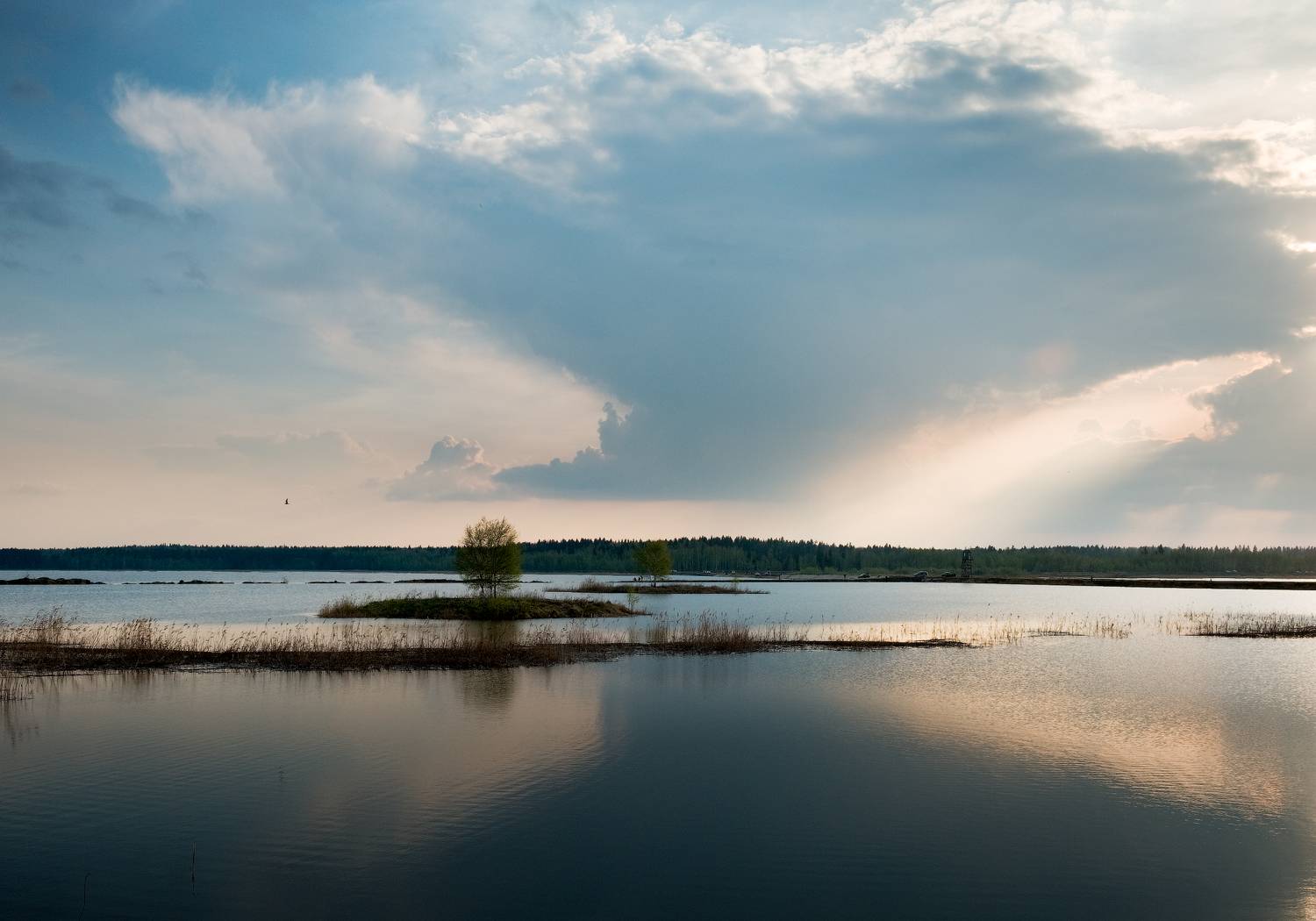 , Борис Леваков
