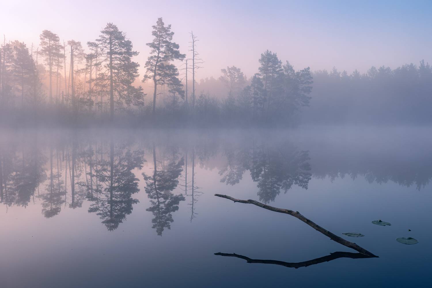, Гордон Николай