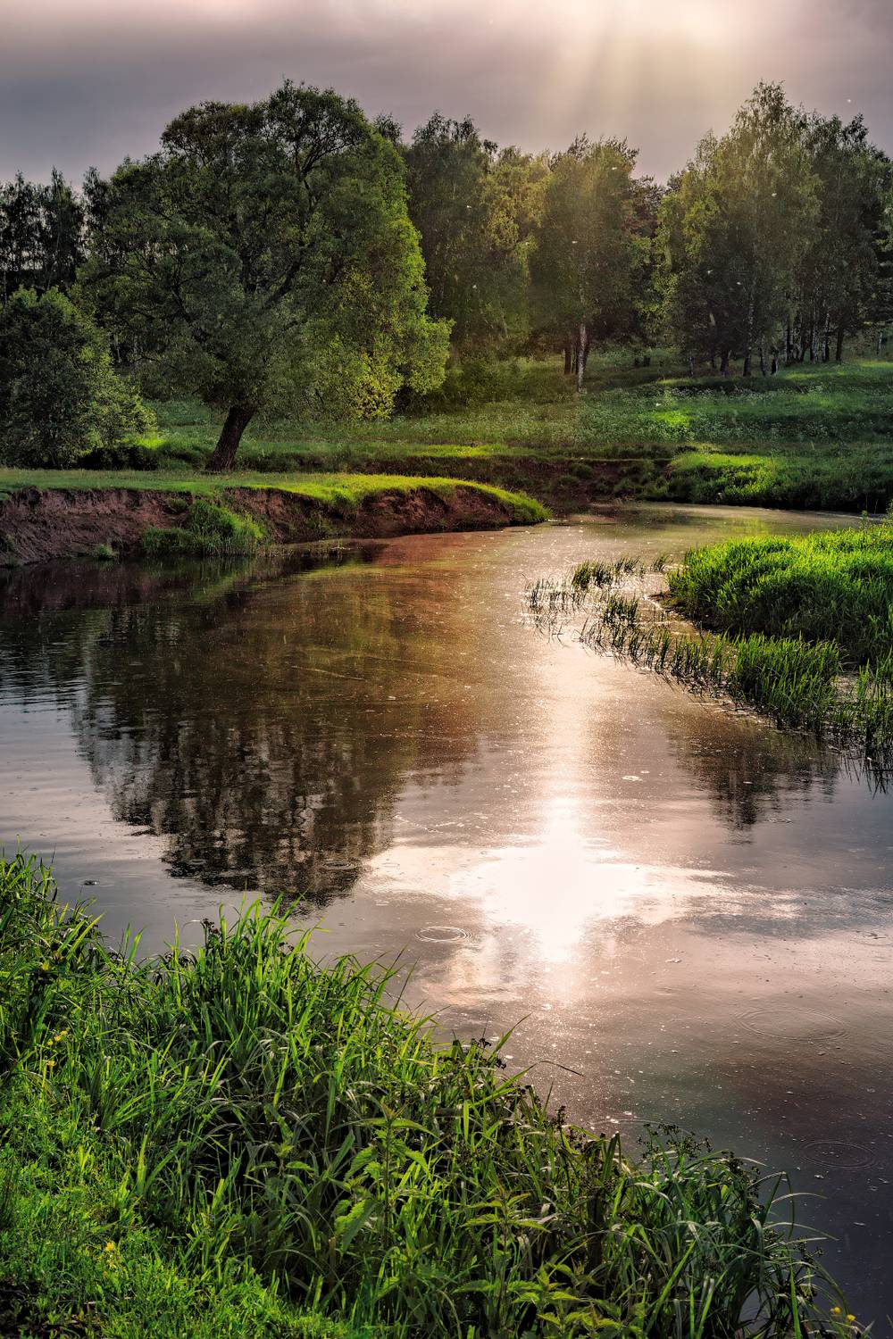 , Евгений Ерохин