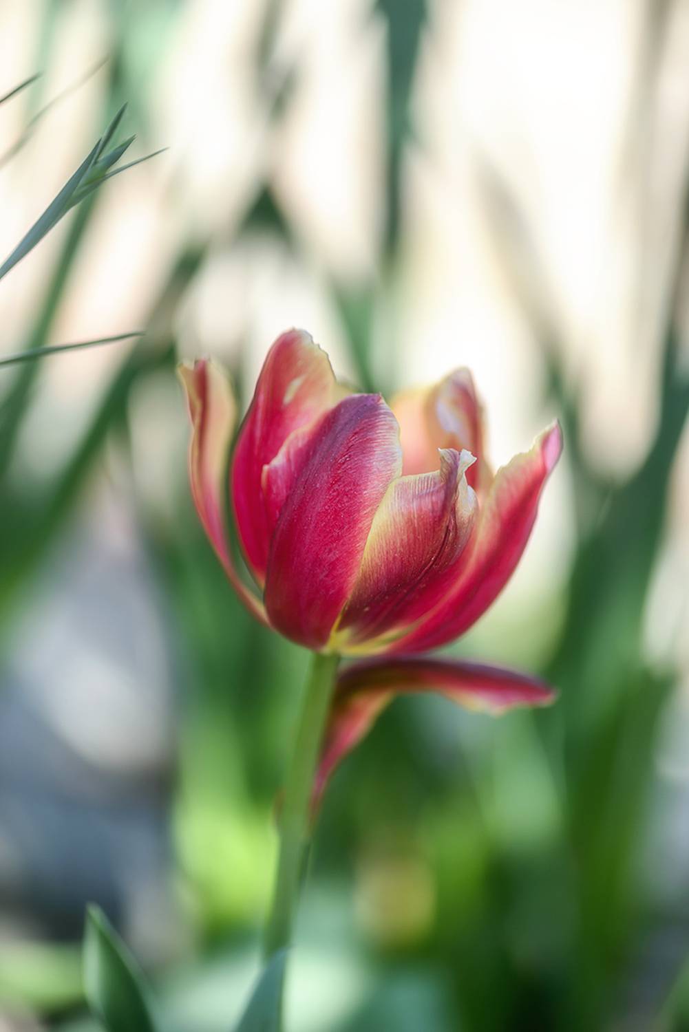 , Наиля Гарифуллина