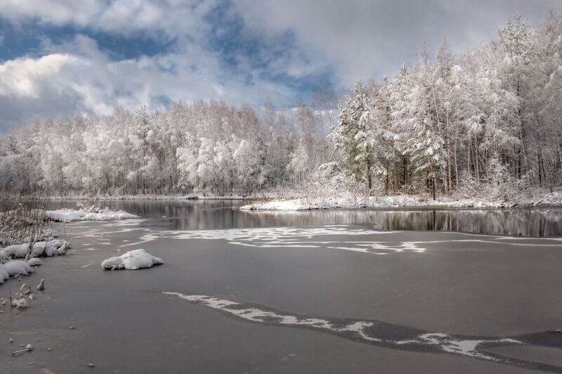 апрель снегопад утро речка суходол лес серково Апрельские капризы фото превью