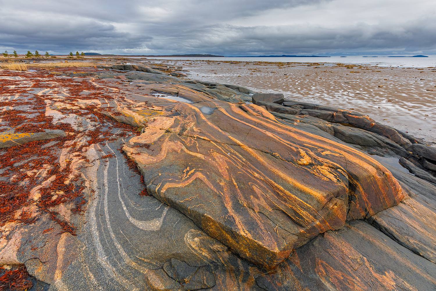 карелия, беломорск, белое море, беломорье, русский север,северная природа, северный пейзаж, пейзажи карелии, фототуры по карелии, фототур на белое море, Уютнов Кирилл