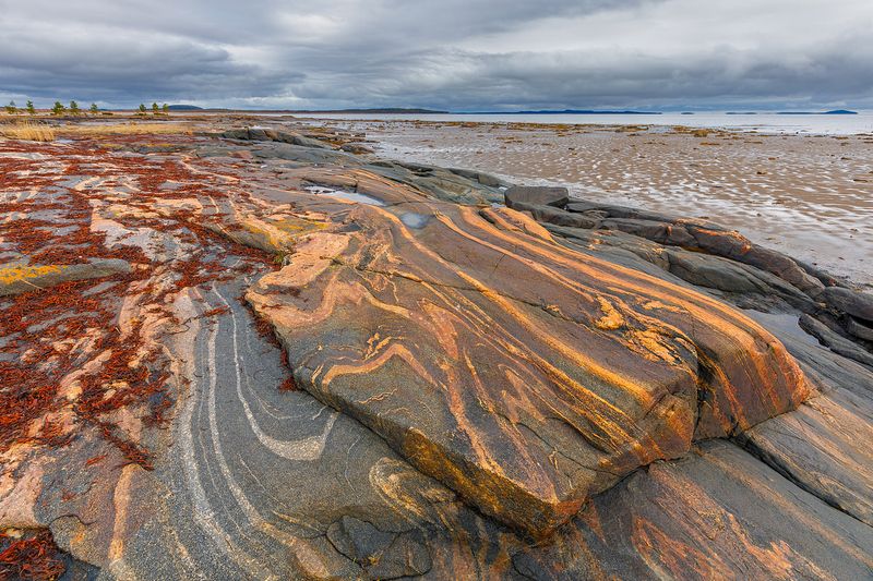 карелия, беломорск, белое море, беломорье, русский север,северная природа, северный пейзаж, пейзажи карелии, фототуры по карелии, фототур на белое море Белые ночи на Белом море фото превью