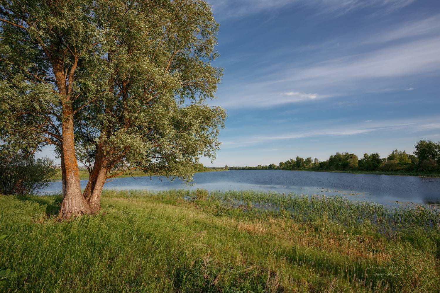 , Никитин Алексей