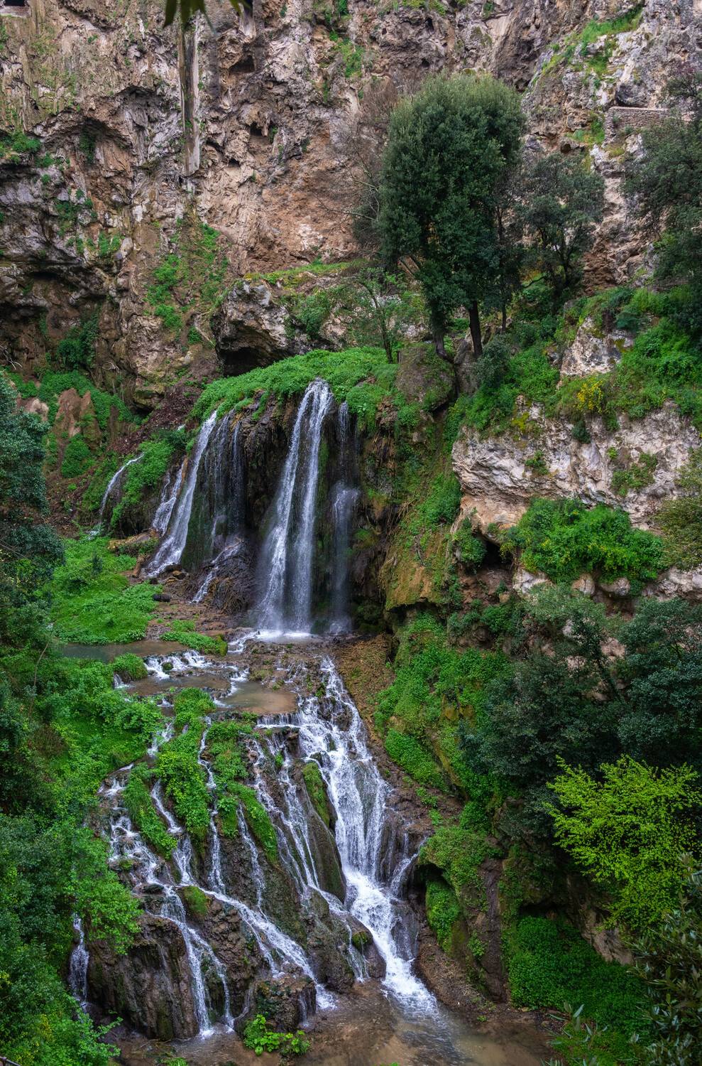 , Vladimir Bragilevsky