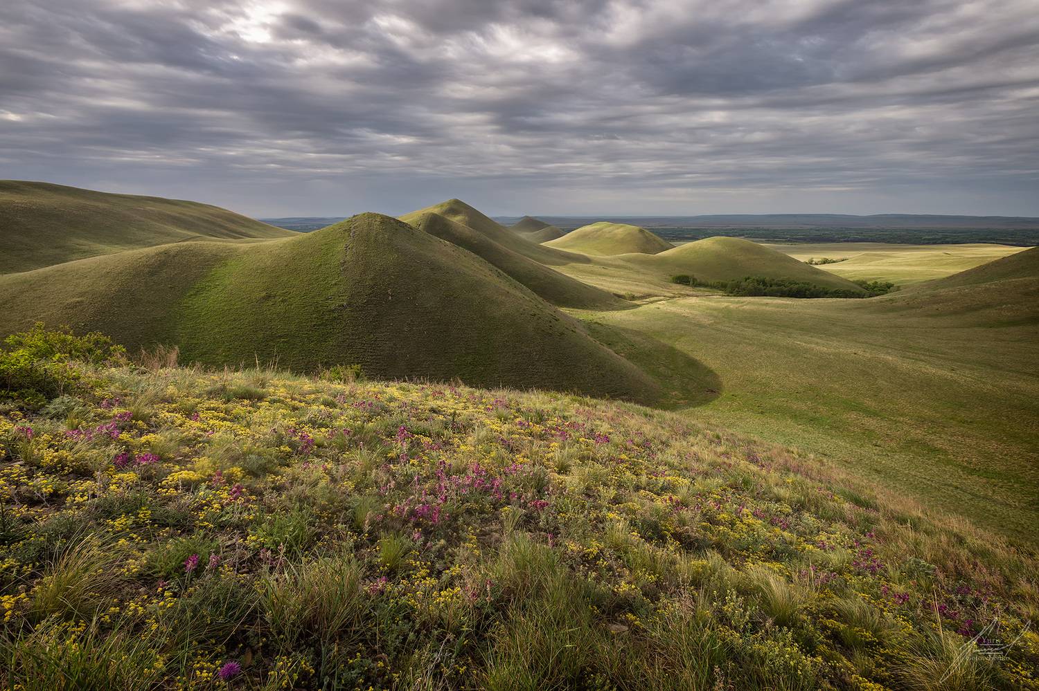 , Головченко Юрий