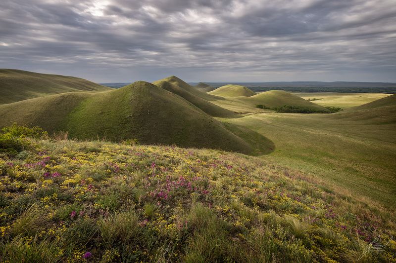 Долгие Горы фото превью