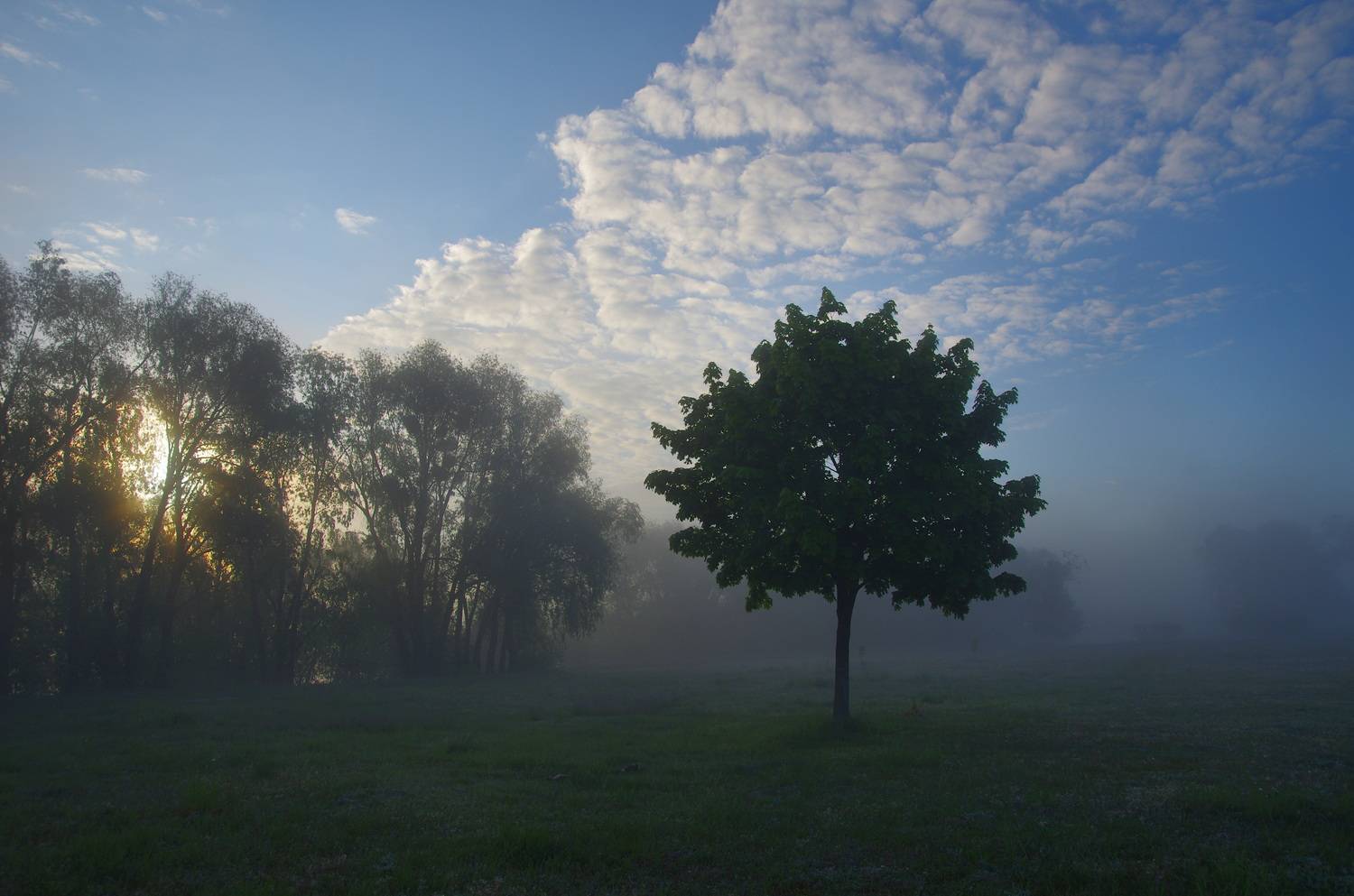 , Шляга Сергей