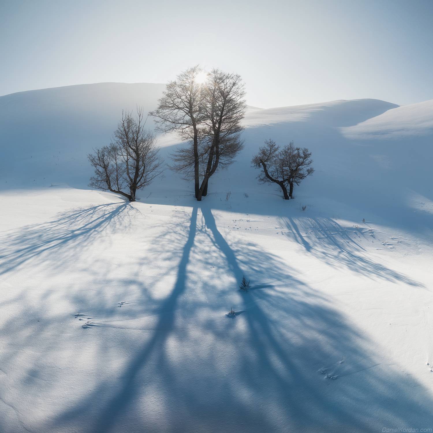 , Даниил Коржонов