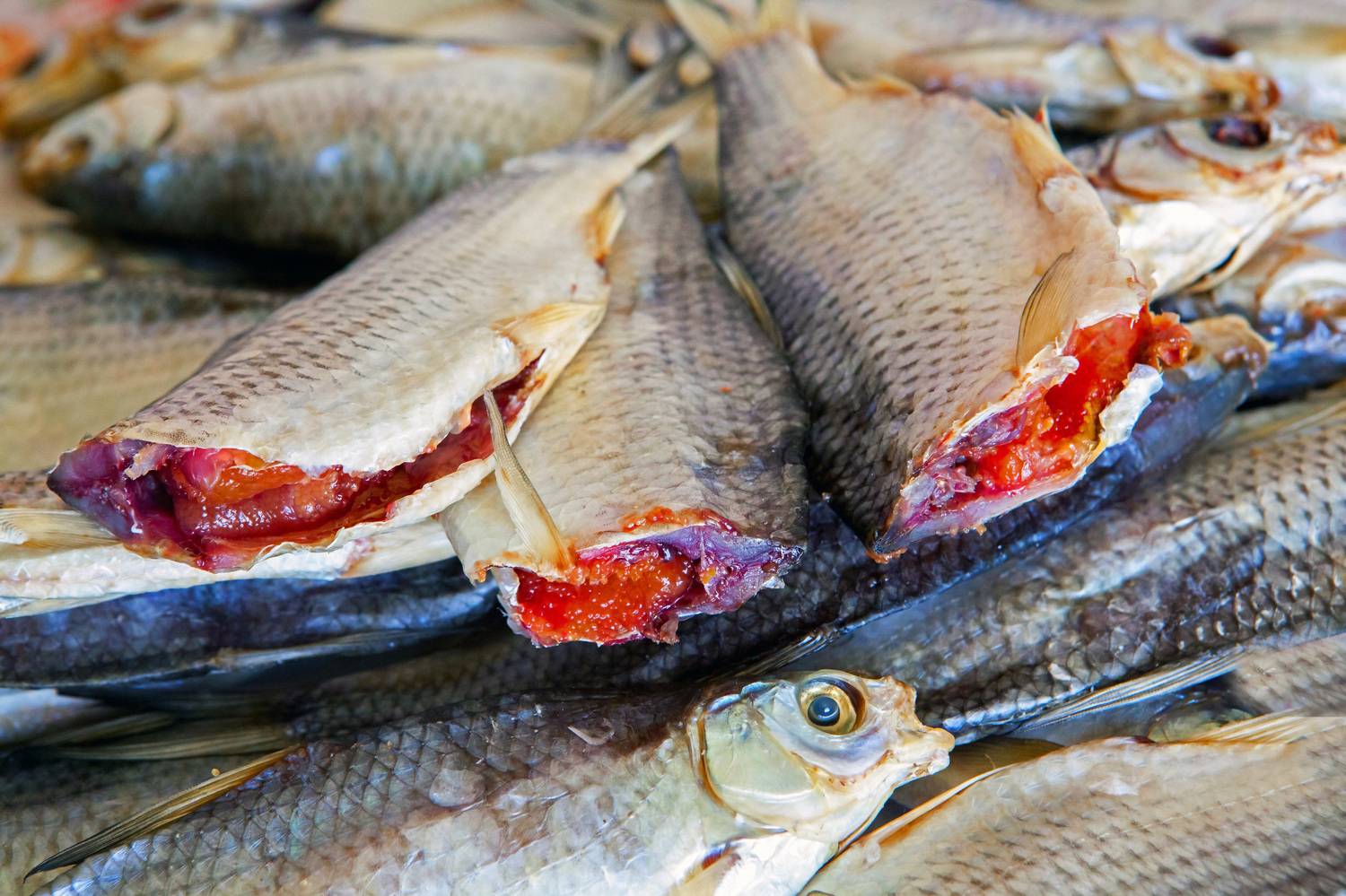 , Андрей Петросян