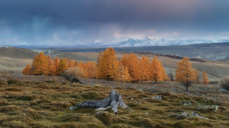 Тыдтуярык. Алтай 2024. фото превью