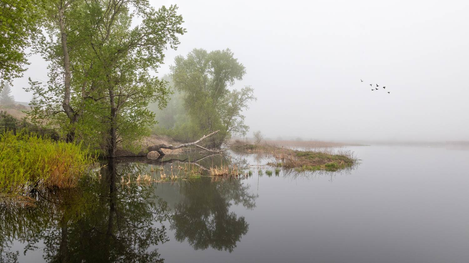 , Ушаков Валерий