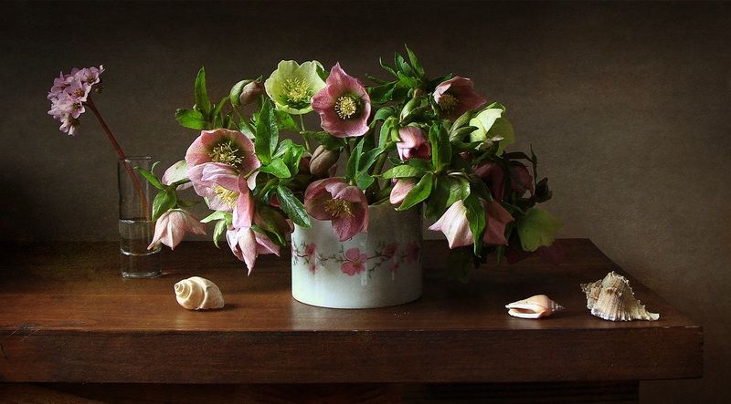 * * * фото превью